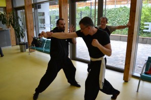 hunggarnancy-artsmartiaux-wushu-kungfu-demonstration-23avril2016-16               